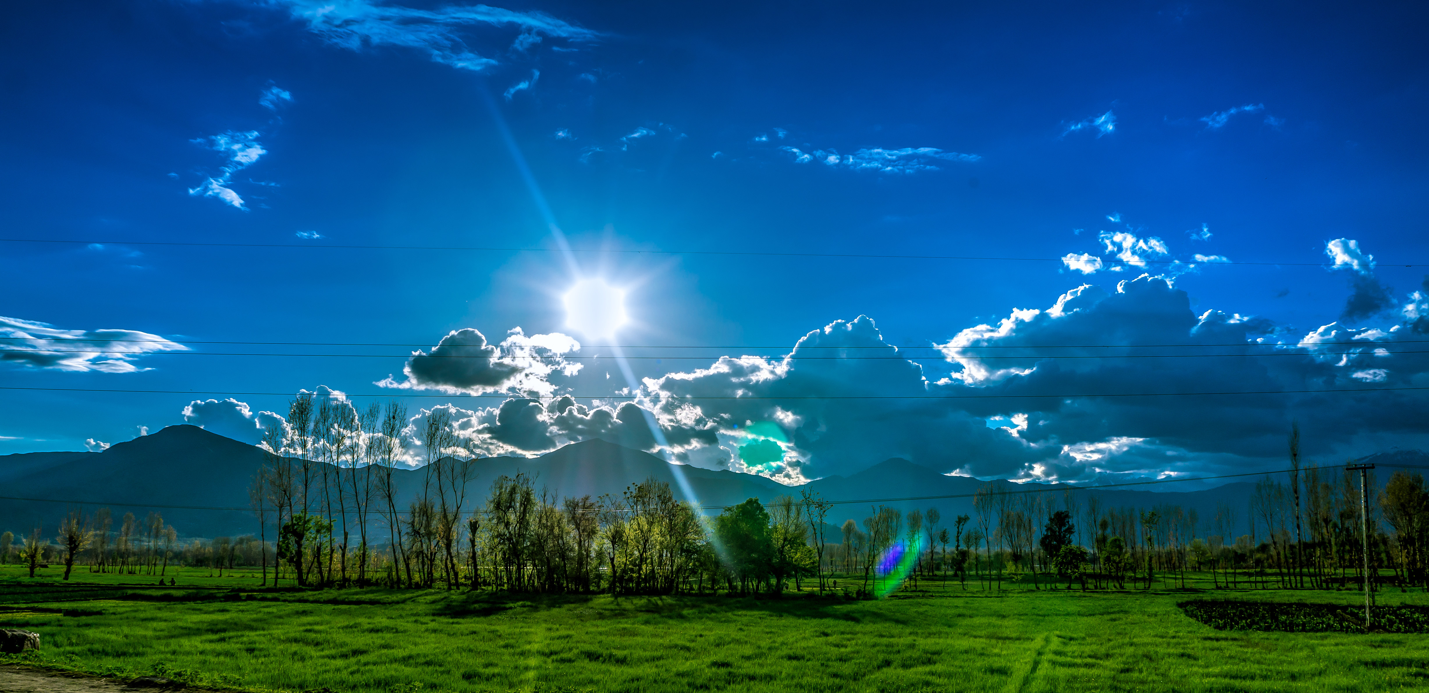 landscape of grassie field and sun