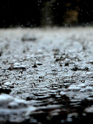 Rain drops on water